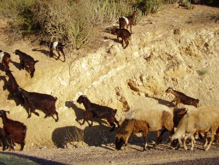 baaaaaaaaaaaaa3333333333