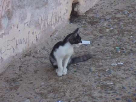 amouch